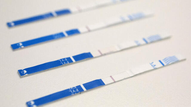 Fentanyl test strips