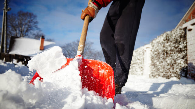 A person clears the sidewalk with a snow shovel