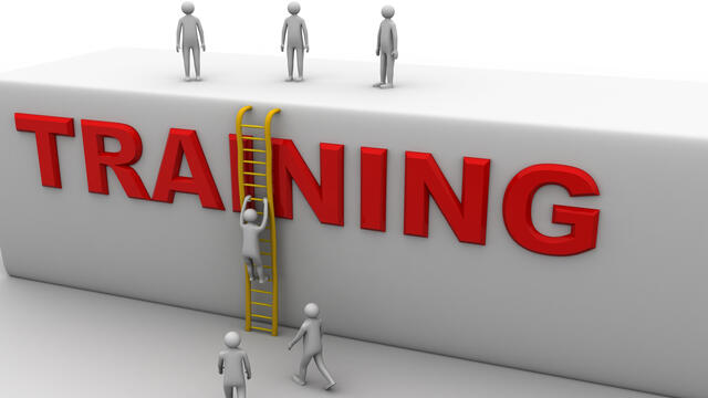 3D image of people climbing a ladder attached to a wall with the word training in red