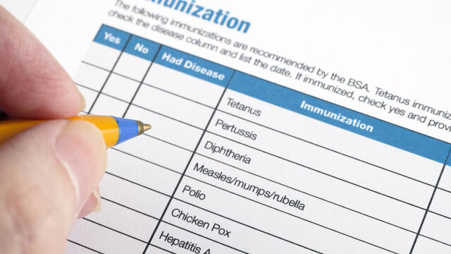 Checking an immunization record.
