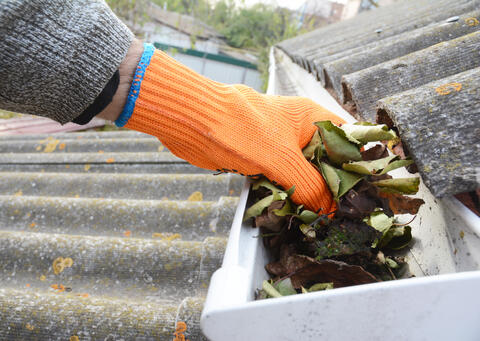 Cleaning leaves from rain gutter