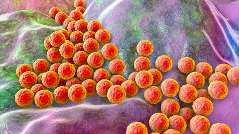 Staphylococcus bacteria