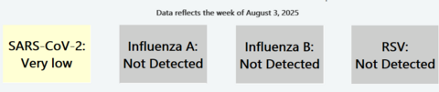 Statewide categorization of COVID-19, influenza A, influenza B, and RSV