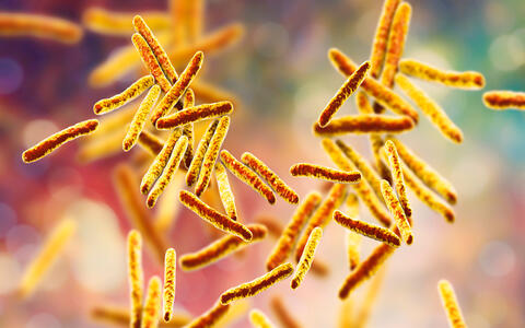 Illustration of TB bacteria