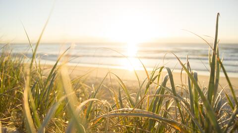 Beach view with setting sun.