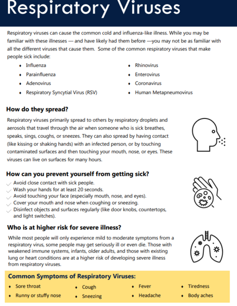 An informative fact sheet explaining the similarities and differences between different respiratory viruses.