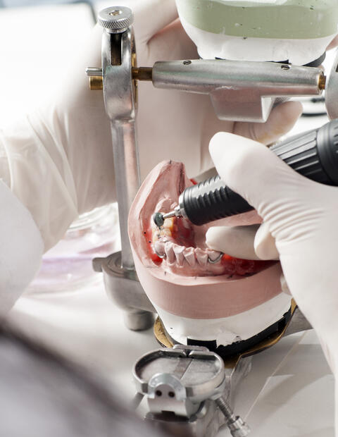 Dental tech using an articulator