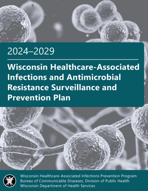 Cover of the 2024-2029 Wisconsin Healthcare-Associated Infections and Antimicrobial Resistance Surveillance and Prevention Plan