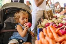 Child in stroller holding a veggie at the farmers market