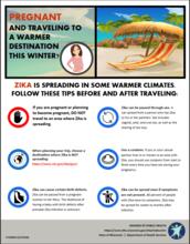 Zika and Pregnancy