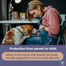 Dog sniffing pregnant woman with text "Protection from parent to child"