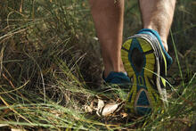 Close up of adult's sneakers walking through tall grass where ticks and mosquitoes hide