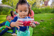 Toddler holding container of strawberries at family picnic