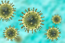 Close up of the shingles virus