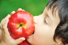 close up of child, dark brown hair, head tilted back bite an apple on green background