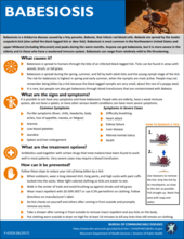 Babesiosis