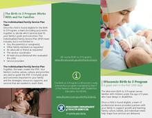The Birth to 3 program works with and for families: P-02928