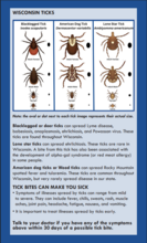 Tick safety guide