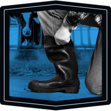 Farm worker putting on boots