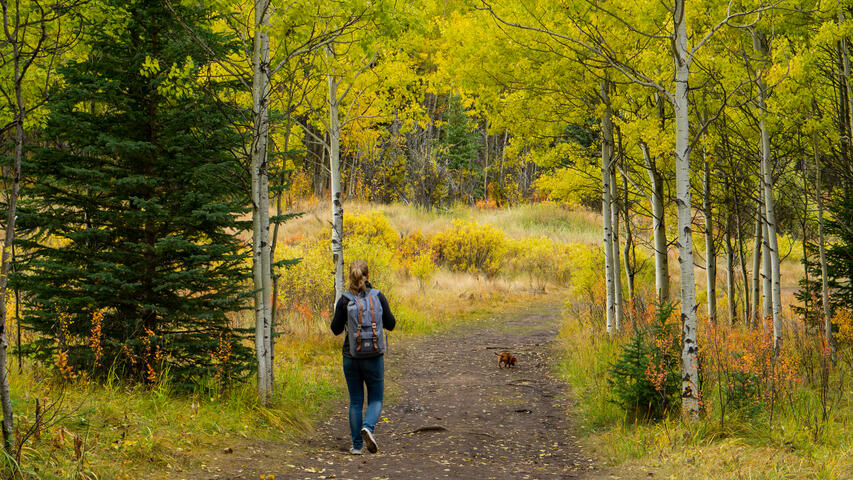 Runner and dog run along path in the woods