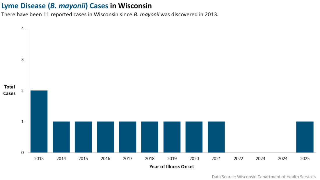 B. mayonii, Lyme disease cases by year