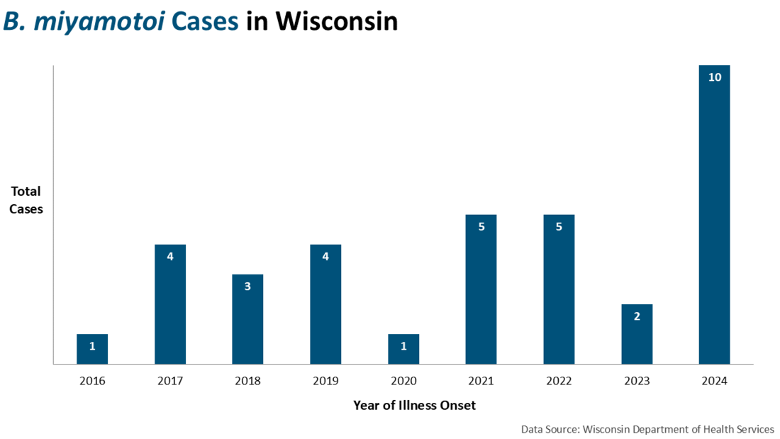Cases of B. miyamotoi by year