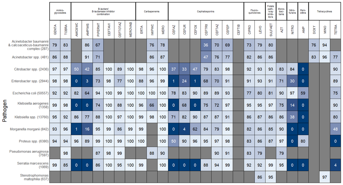 All culture types gram negative antibiogram