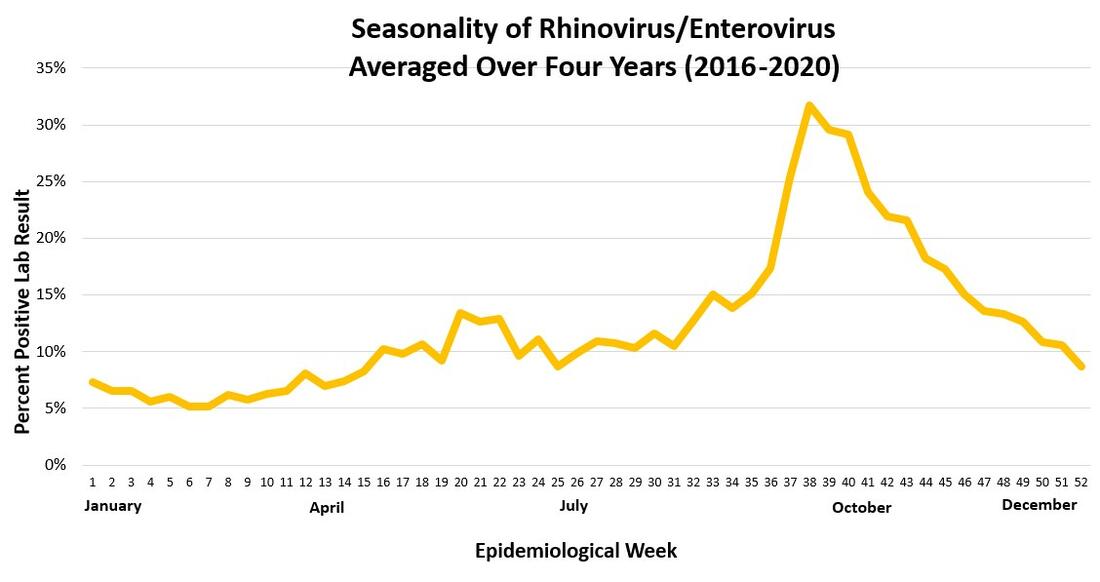Graph showing the seasonality of Rhinovirus/Enterovirus over the last four years