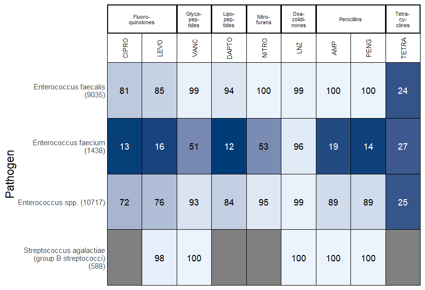 Urine culture gram positive antibiogram
