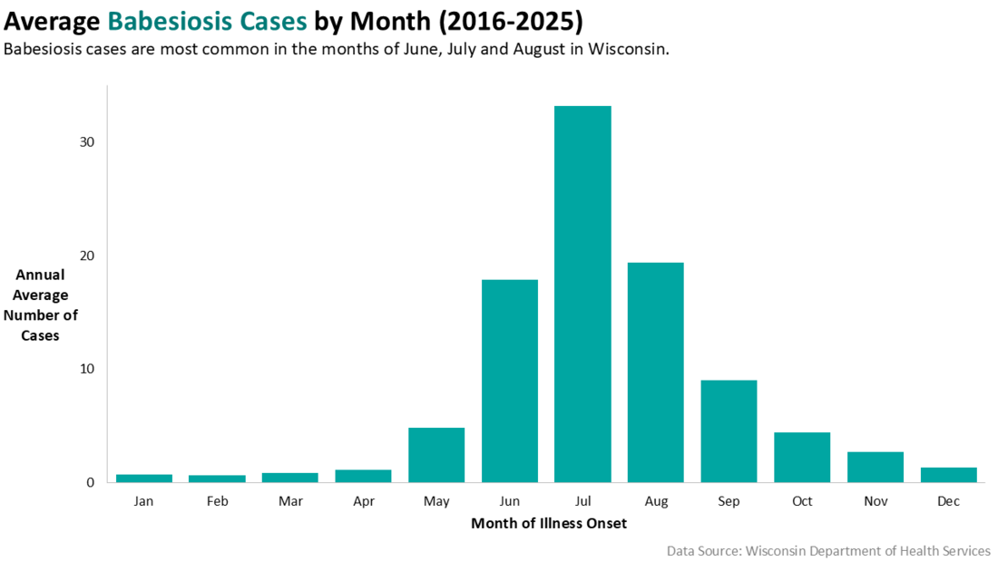 Average Babesiosis cases by month
