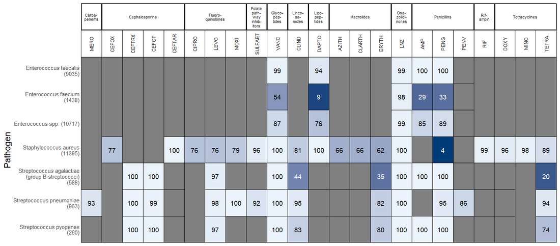 Blood culture gram positive antibiogram