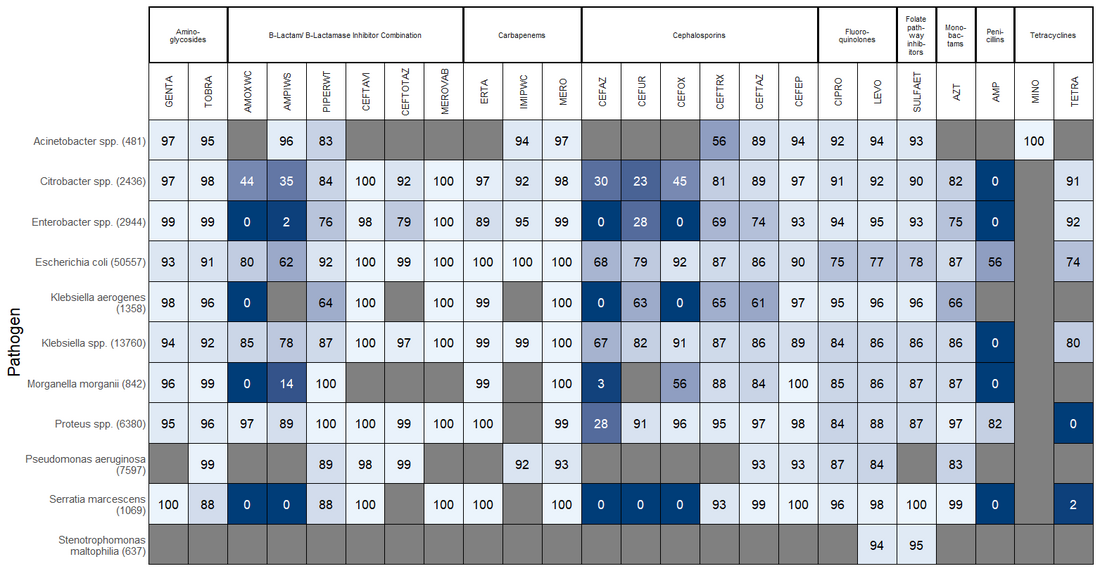 Blood culture gram negative antibiogram