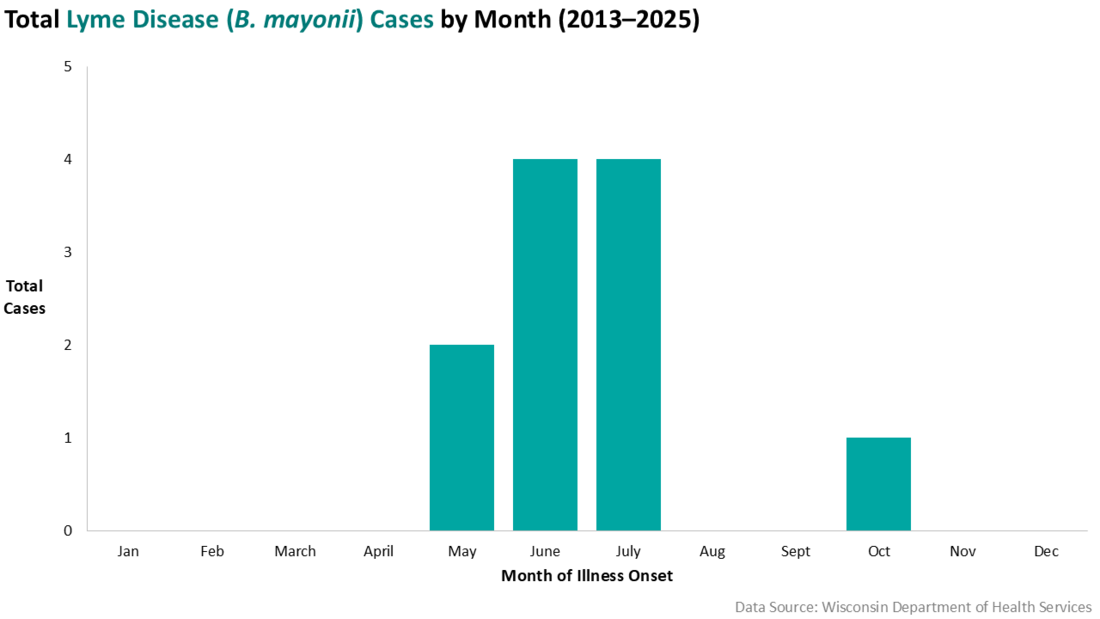 B. mayonii, Lyme disease cases by month